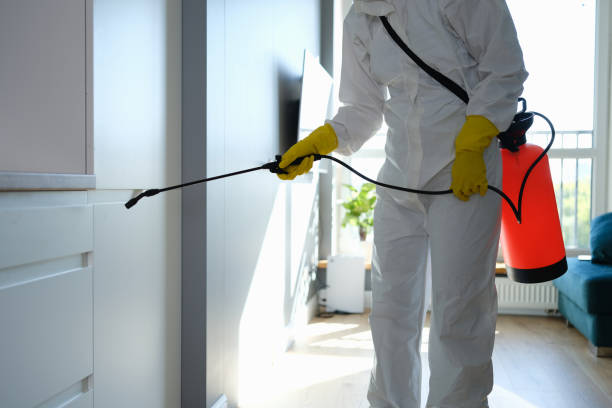 Mold Testing and Removal in Trumann, AR
