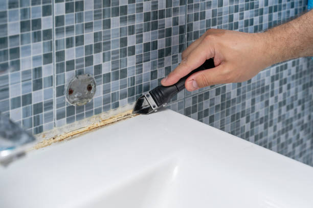 Best Mold Removal Process  in Trumann, AR