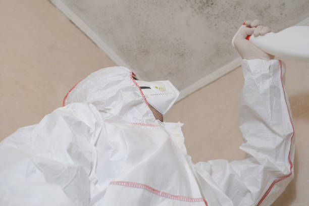 Best Attic Mold Removal  in Trumann, AR